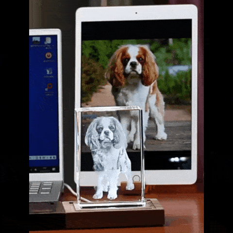 Personalized Rectangle 3D Crystal Photo Block with LED Base